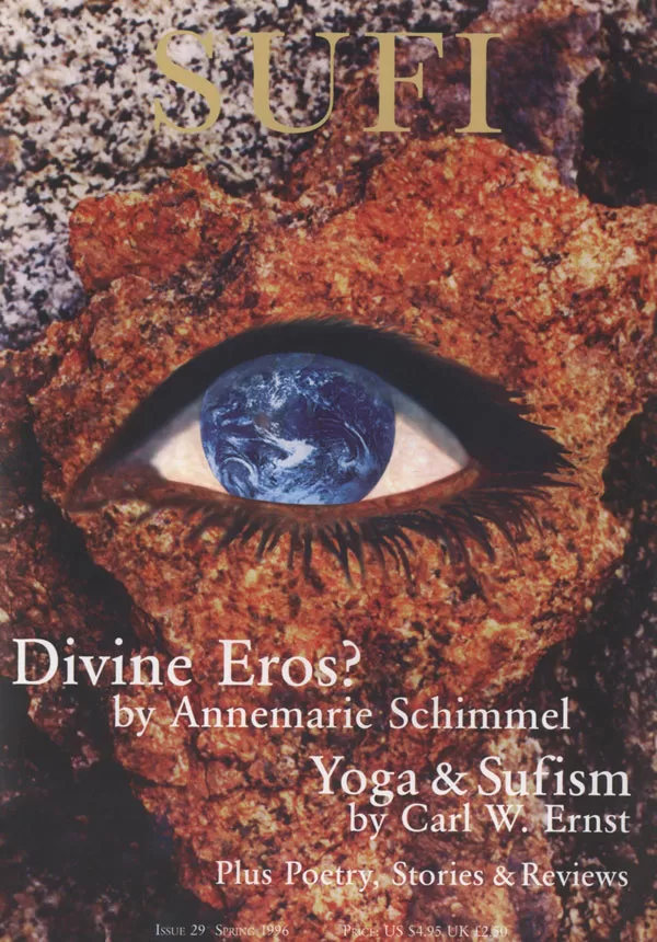 Sufi Journal Issue 29