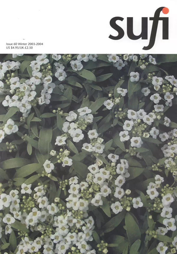 Sufi Journal Issue 60